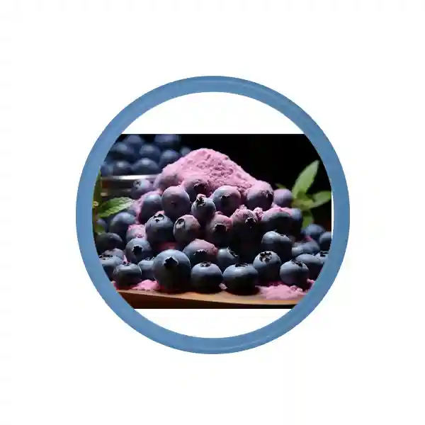 Organic Blueberry Powder Bulk